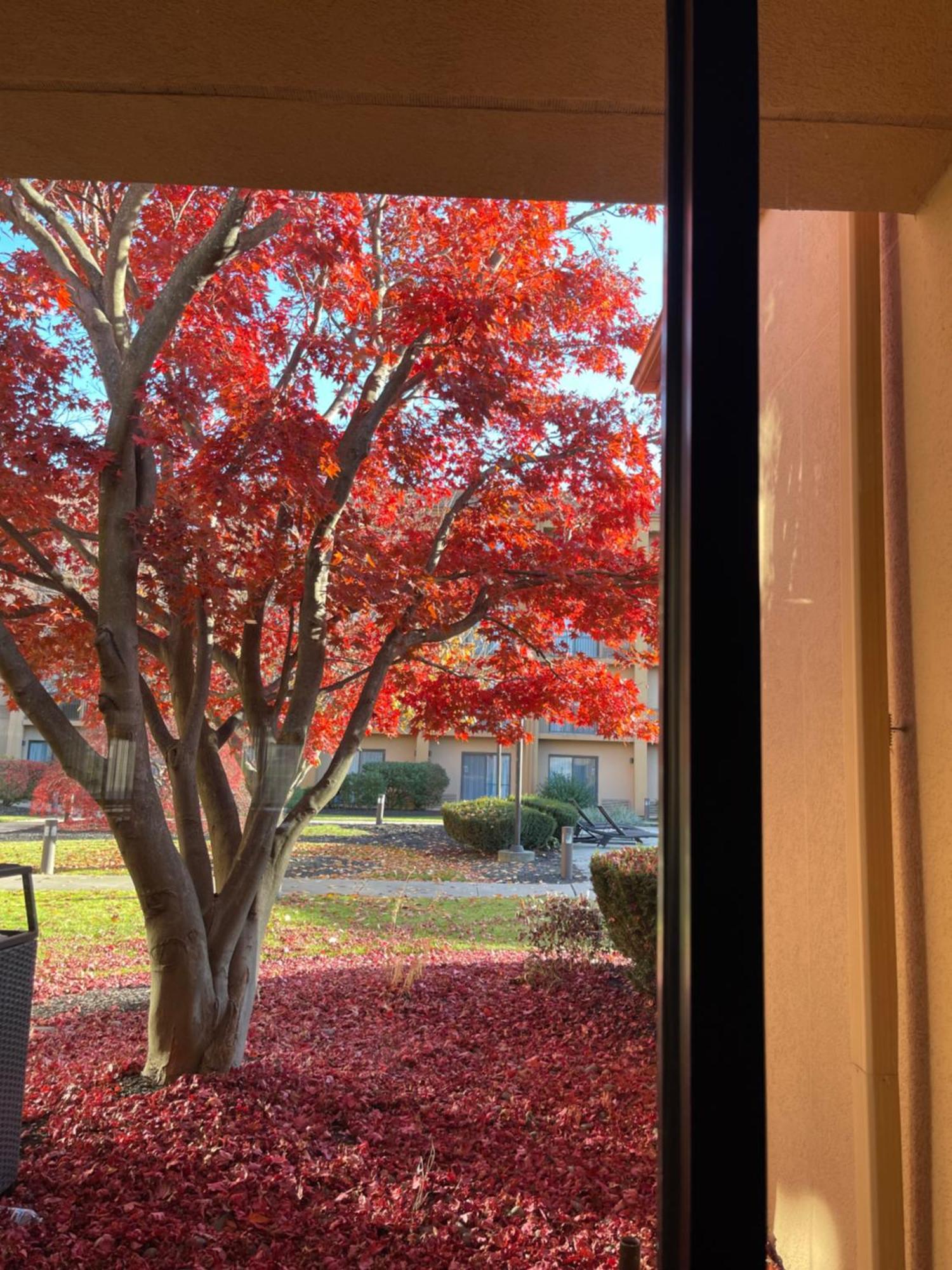 Courtyard By Marriott Fishkill Hotel Exterior photo