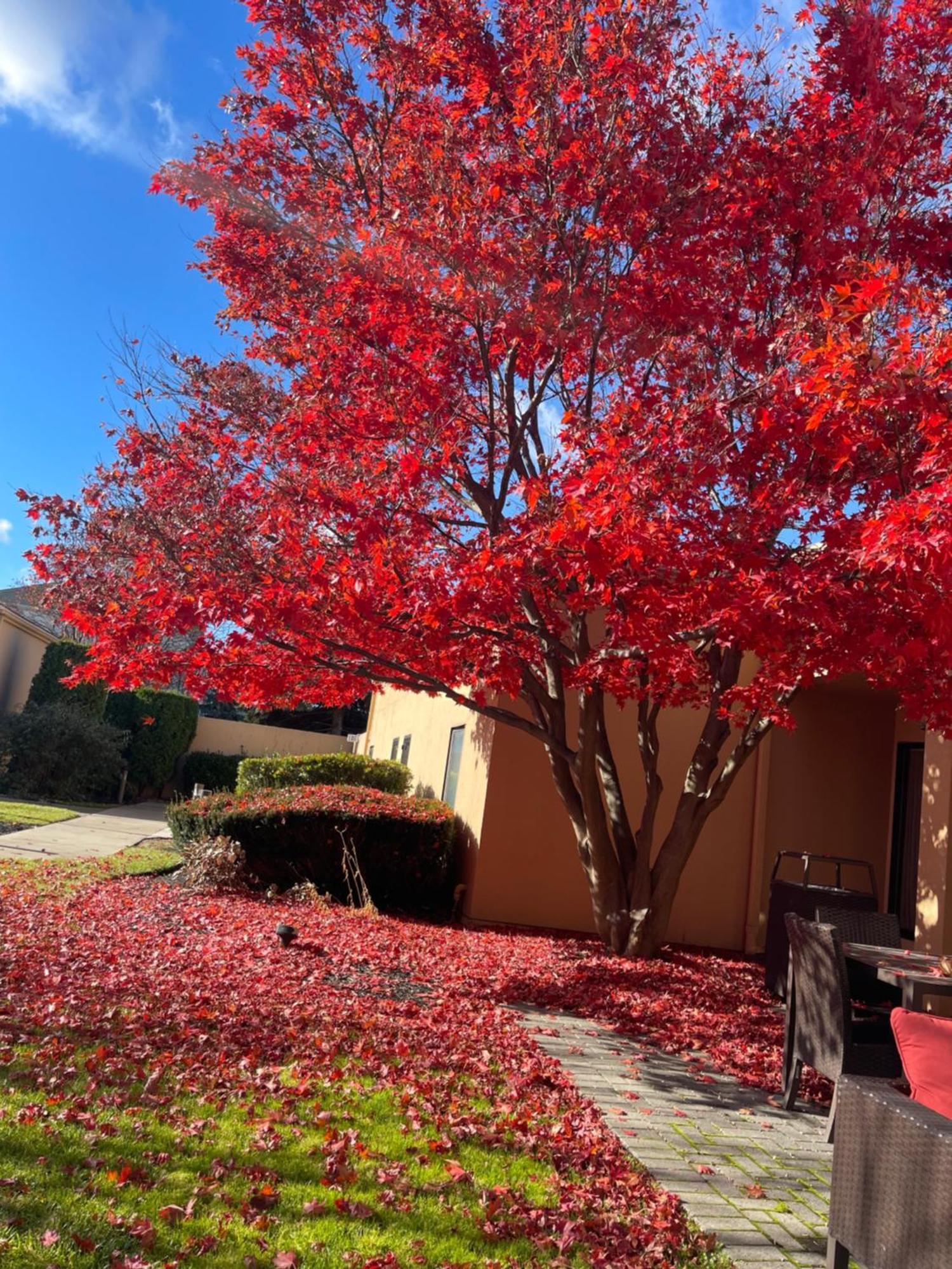 Courtyard By Marriott Fishkill Hotel Exterior photo