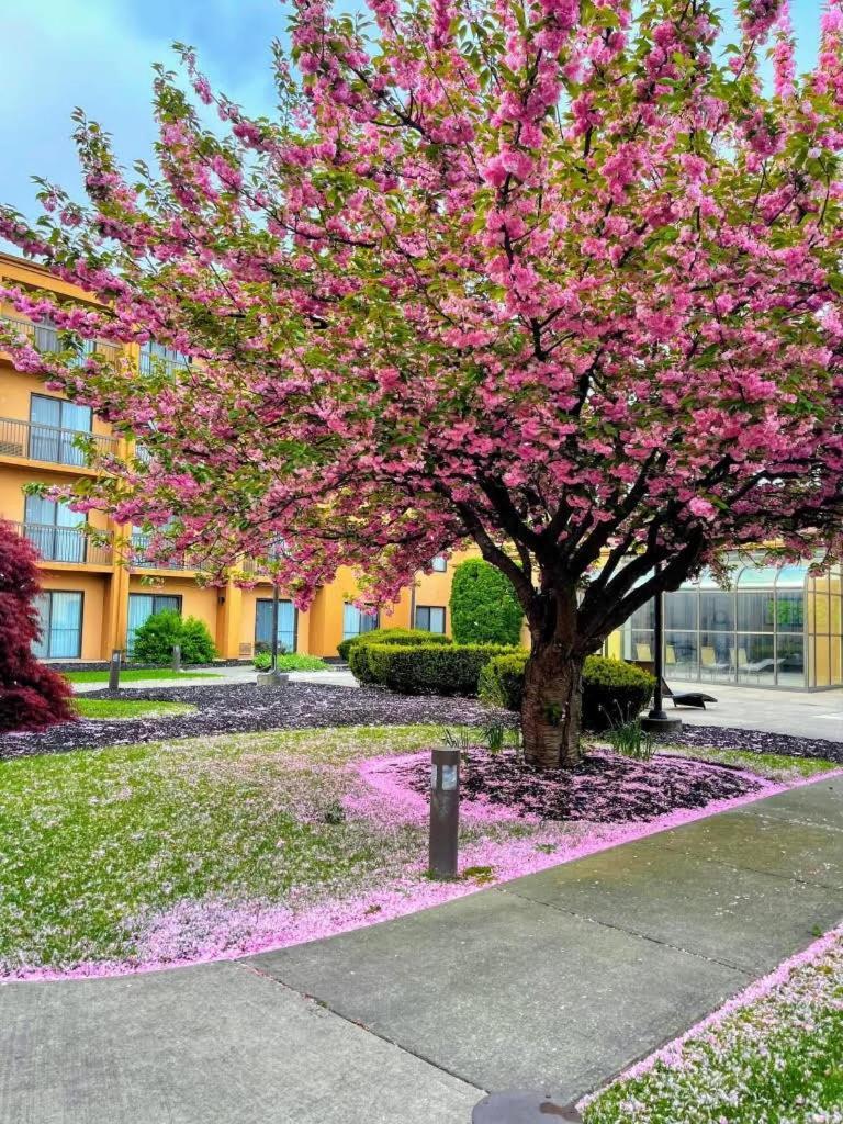 Courtyard By Marriott Fishkill Hotel Exterior photo